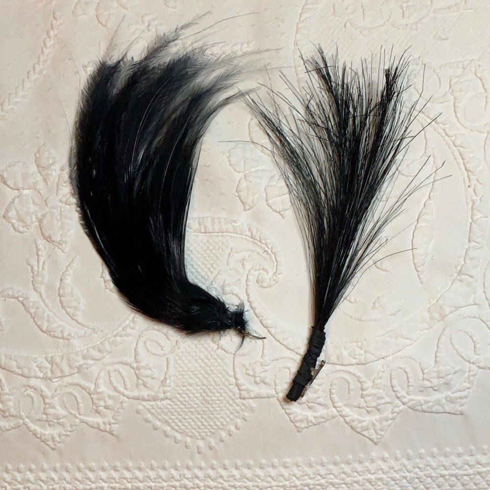 Vintage millinery feathers (plumes)